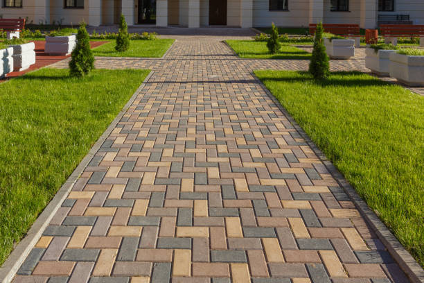 Best Commercial Driveway Pavers  in Palisade, CO